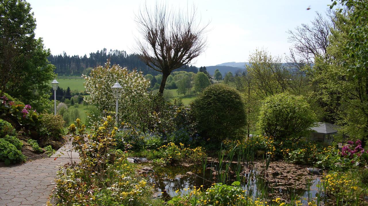 Waldhotel Klaholz Brilon Exteriör bild